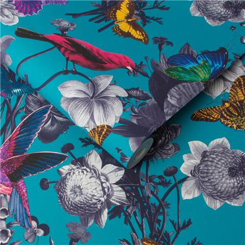 Graham and Brown Curiosity Wallpaper Collection Jardin 106432 Teal