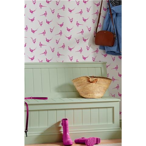 Joules Flirty Pheasants Wallpaper 118551