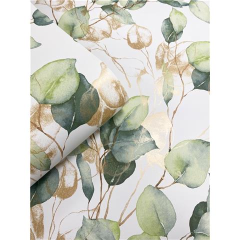 Muriva Eucalyptus Wallpaper 210501 Green