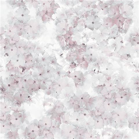 Muriva Apple Blossom Wallpaper 211501 Rose