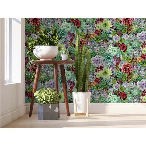 Arthouse Succulent Living Wall Wallpaper 259402 Multi