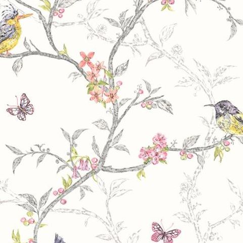 Holden Statement Feature Wallpapers Ornithology Phoebe White 98080