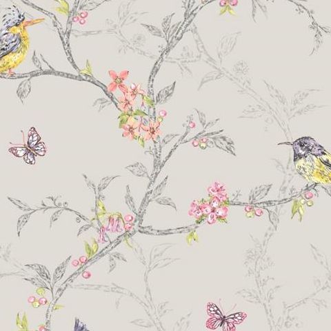 Holden Statement Feature Wallpapers Ornithology Phoebe Dove 98081