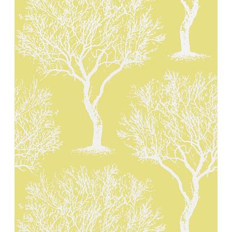 Anna French Seraphina Winfell Forest Wallpaper AT6003 Citron