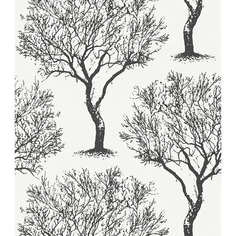 Anna French Seraphina Winfell Forest Wallpaper AT6005 black and White