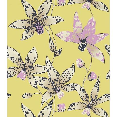Anna French Seraphina Spotted Orchid Wallpaper AT6046 Citron