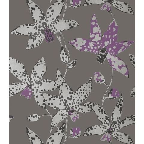 Anna French Seraphina Spotted Orchid Wallpaper AT6047 Silver on Charcoal