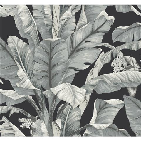 Black and White Resource Banana Leaf Wallpaper BW3971