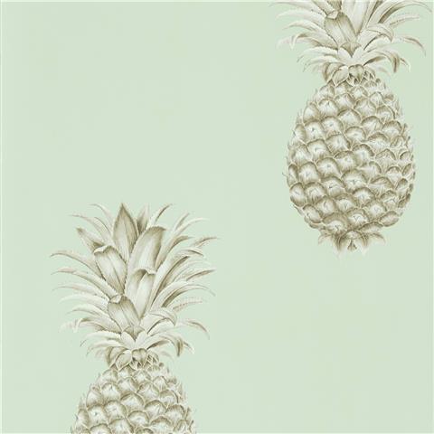 Sanderson Art of the Garden Wallpapers Pineapple Royale 216325