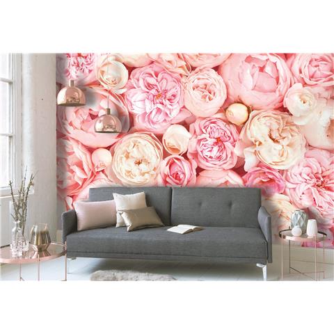 Design Walls Botanical Mural Blossom Roses (350cm wide x 255cm High)