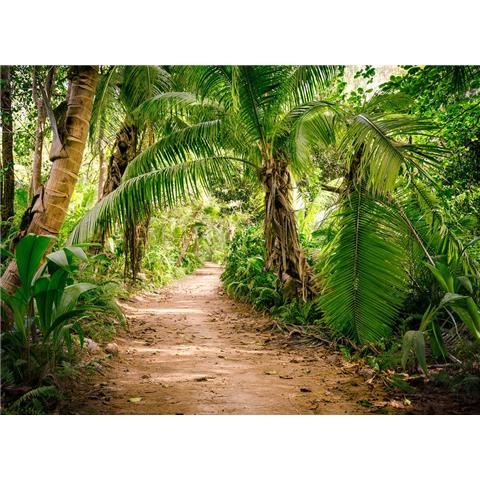 DESIGN WALLS Nature MURAL palm walk (350CM WIDE X 255CM HIGH)