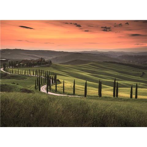 DESIGN WALLS travelling MURAL tuscany 2 (350CM WIDE X 255CM HIGH)