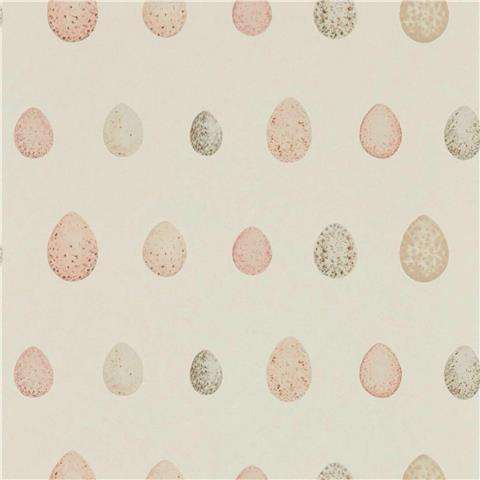 Sanderson Embleton Bay wallpaper Nest Egg 216506 Blush/Pink