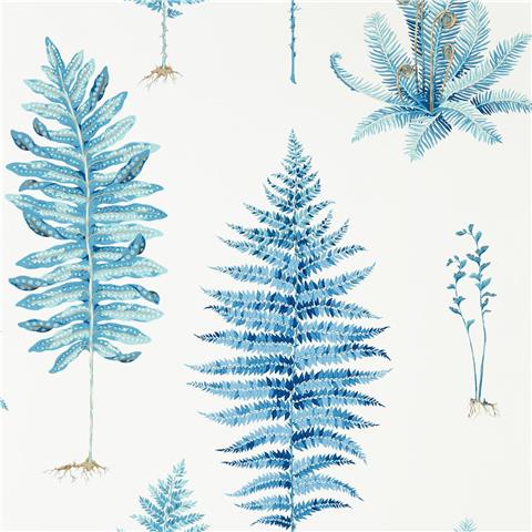 Sanderson Glasshouse Wallpaper Fernery 216635 China Blue