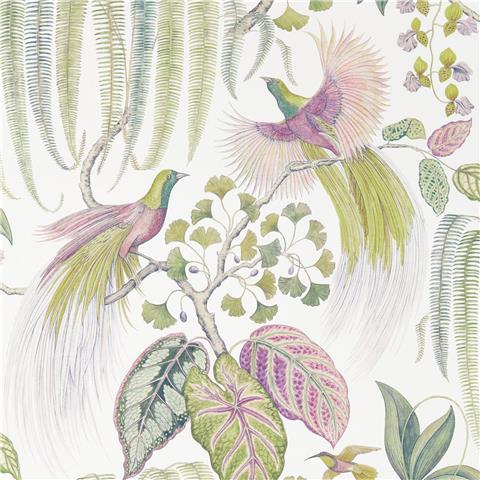 Sanderson Glasshouse Wallpaper Bird of Paradise 216654 Orchid