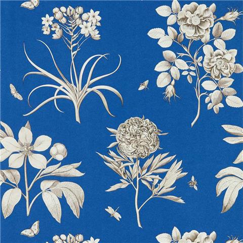 Sanderson One Sixty wallpapers Etchings and roses 217053