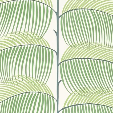 Sanderson Voyage of Discovery Wallpaper Manila Tropical Leaf 213367