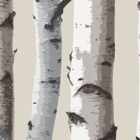 Woods Wallpaper Birch Tree FD31051