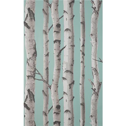 Fine Decor Woods Birch Tree Wallpaper FD43293 Blue