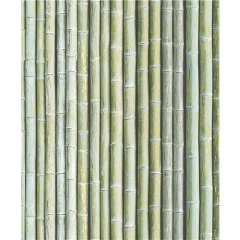 Organic Textures wallpaper Bamboo G67941 green