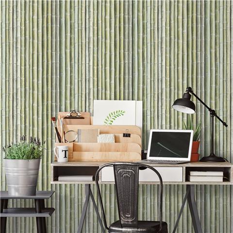 Organic Textures wallpaper Bamboo G67941 green