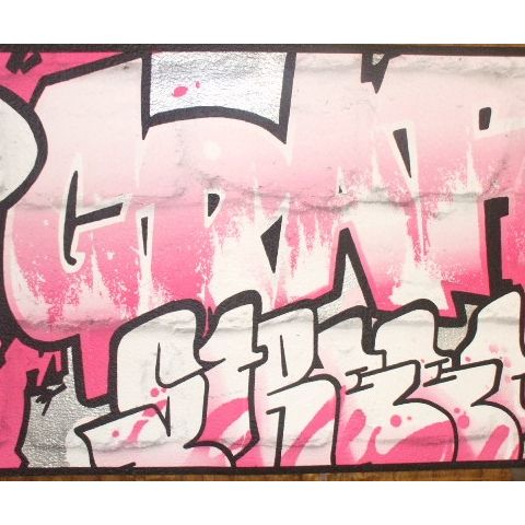 Graffiti Border Pink on Silver