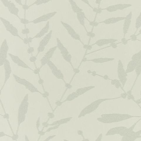 Harlequin Anthozoa Wallpaper Chaconia Shimmer HANZ111659