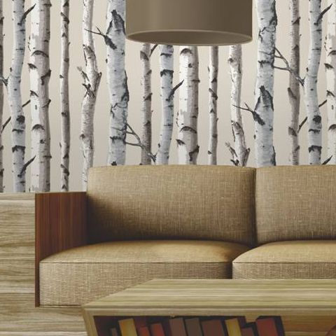 Woods Wallpaper Birch Tree FD31051