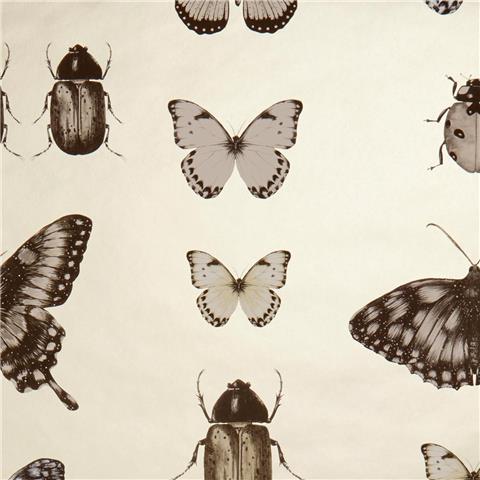 CLARKE & CLARKE Botanica WALLPAPER papilio butterfly/insect W0094-01