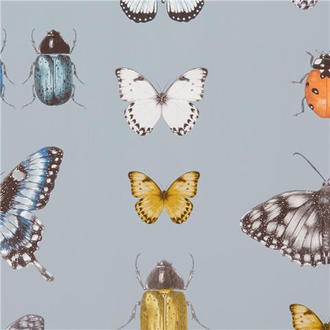 CLARKE & CLARKE Botanica WALLPAPER papilio butterfly/insect W0094-03