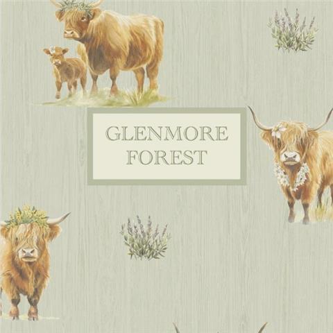 Glenmore Forest