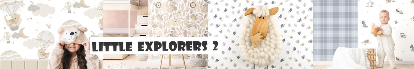 Little Explorers 2