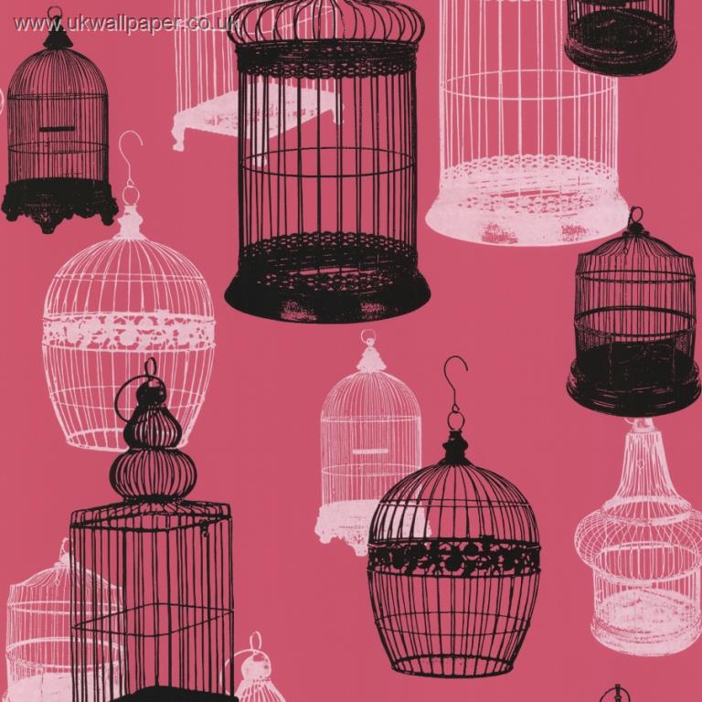 Zinc Birdcages Wallpaper-Black/White on Shocking Pink FD67329