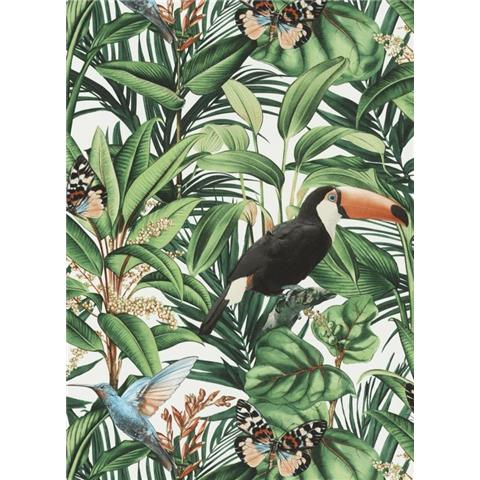 Amazonia Toucan Wallpaper AM30001 p55