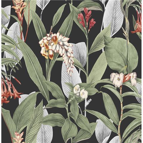 Graham and Brown Hybrid Wallpaper Collection Botanical 103798 Black