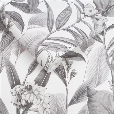 Graham and Brown Hybrid Wallpaper Collection Botanical 103801 Shadow