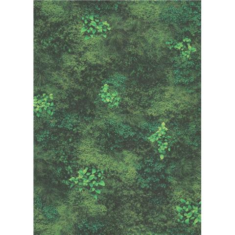 Erismann Wall Stories Shades of Moss Wallpaper 10497-07