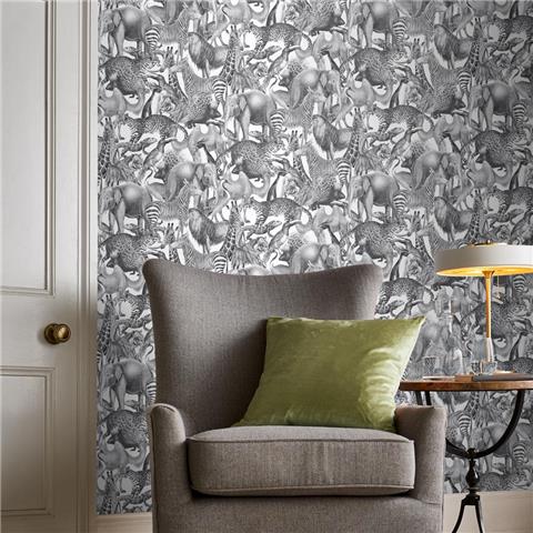 Graham and Brown Curiosity Wallpaper Collection Kingdom 105474 Zebra