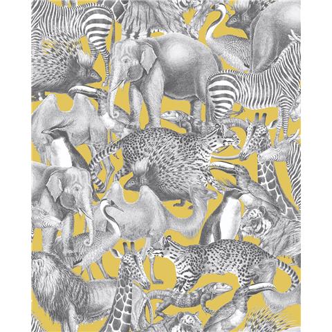 Graham and Brown Curiosity Wallpaper Collection Kingdom 105476 Lion