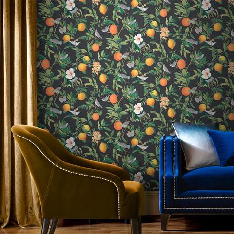 Graham and Brown Curiosity Wallpaper Collection Amalfi 105642 Umore