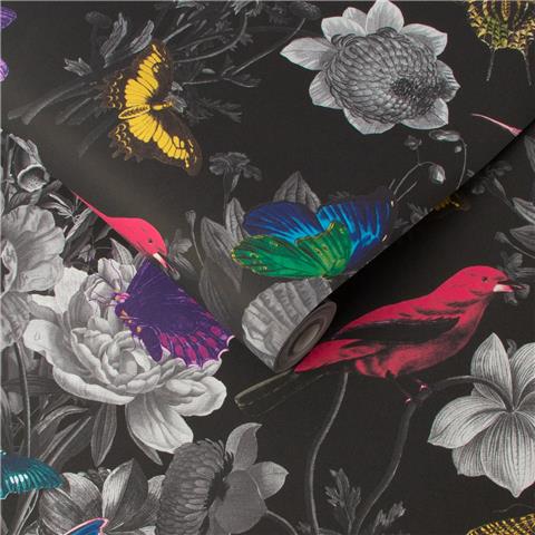 Graham and Brown Curiosity Wallpaper Collection Jardin 106431 Black