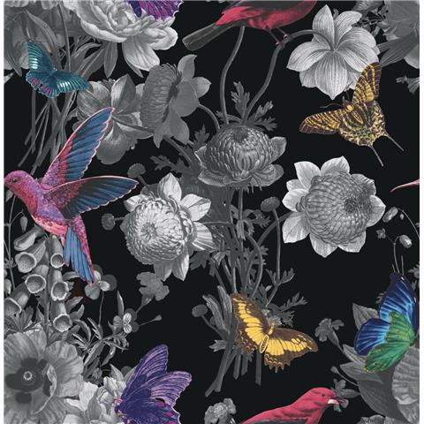 Graham and Brown Curiosity Wallpaper Collection Jardin 106431 Black