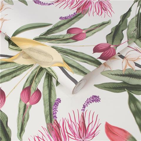 GRAHAM AND BROWN Explorer WALLPAPER COLLECTION Paradise 107600 Chalk