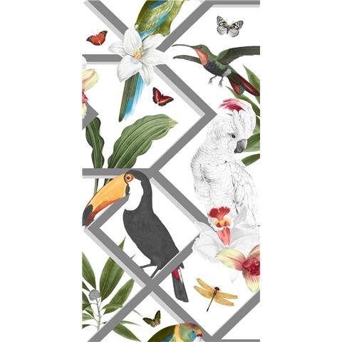 Graham and Brown Hybrid Wallpaper Collection Perch 107603 White