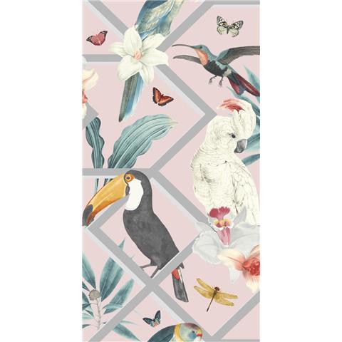 Graham and Brown Hybrid Wallpaper Collection Perch 107604 Blush