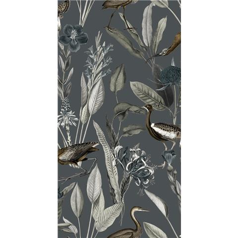 GRAHAM AND BROWN Explorer WALLPAPER COLLECTION Glasshouse 111718 Midnight