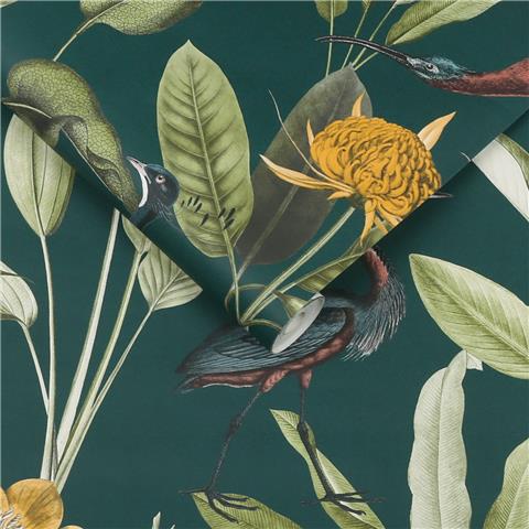 GRAHAM AND BROWN Explorer WALLPAPER COLLECTION Glasshouse 111719 Green