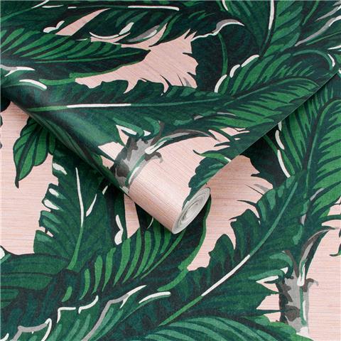 GRAHAM AND BROWN Explorer WALLPAPER COLLECTION Daintree Palm 112018 Blush