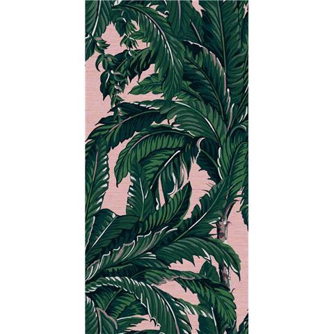 GRAHAM AND BROWN Explorer WALLPAPER COLLECTION Daintree Palm 112018 Blush
