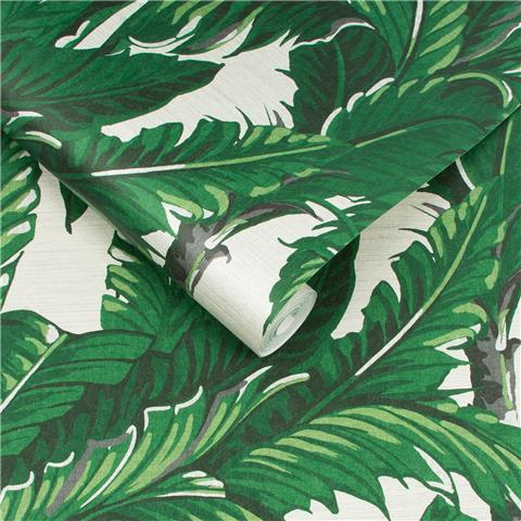 GRAHAM AND BROWN Explorer WALLPAPER COLLECTION Daintree Palm 112020 Pearl